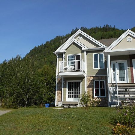 Condo Mont-Edouard LʼAnse-Saint-Jean Dış mekan fotoğraf