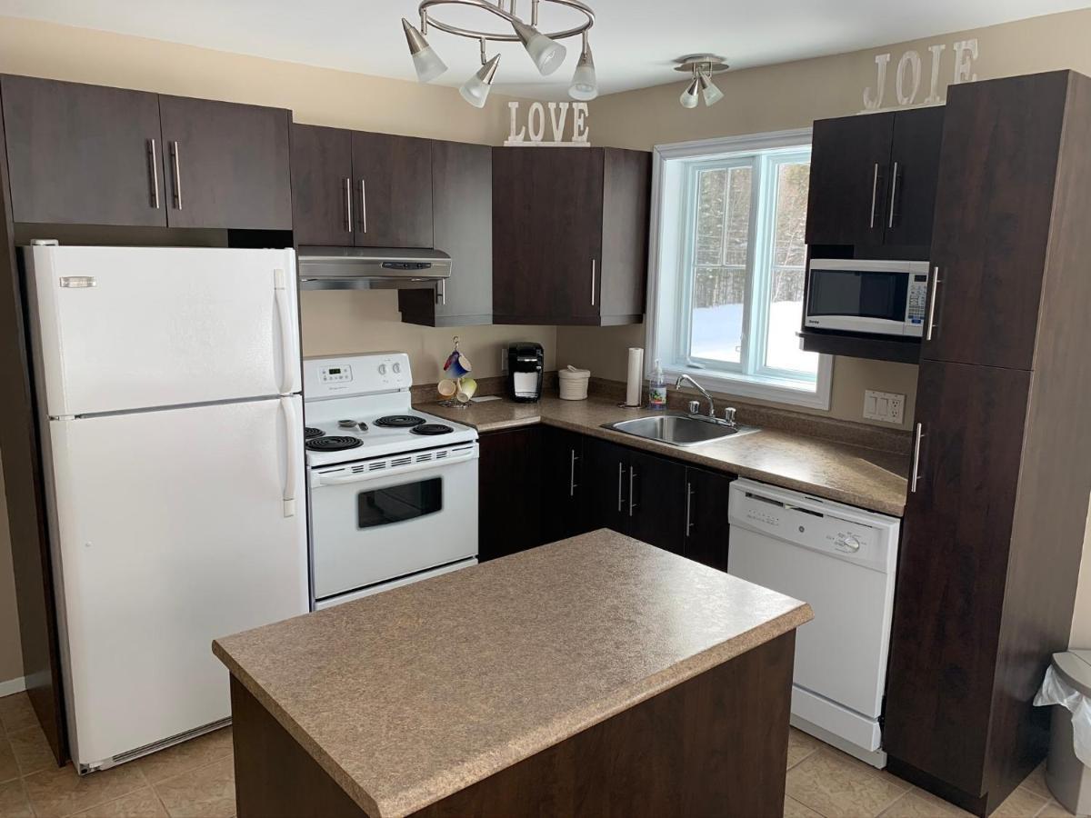 Condo Mont-Edouard LʼAnse-Saint-Jean Dış mekan fotoğraf