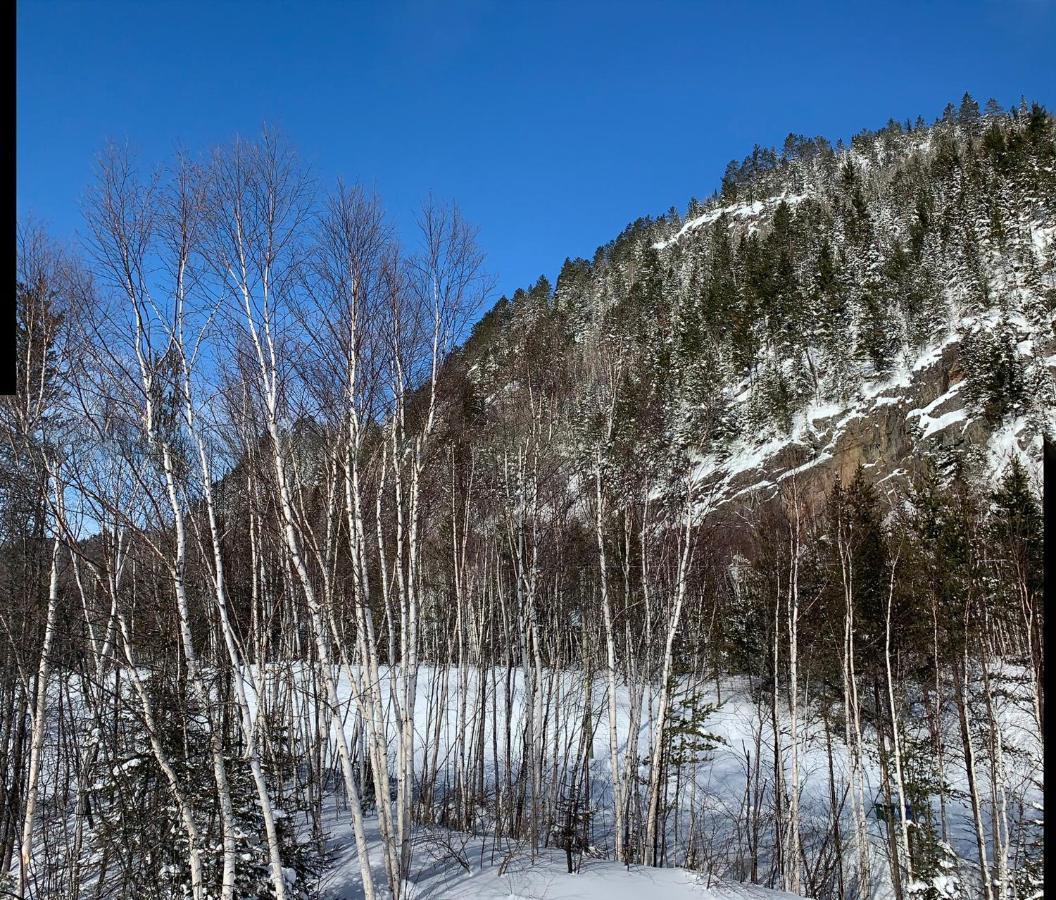 Condo Mont-Edouard LʼAnse-Saint-Jean Dış mekan fotoğraf