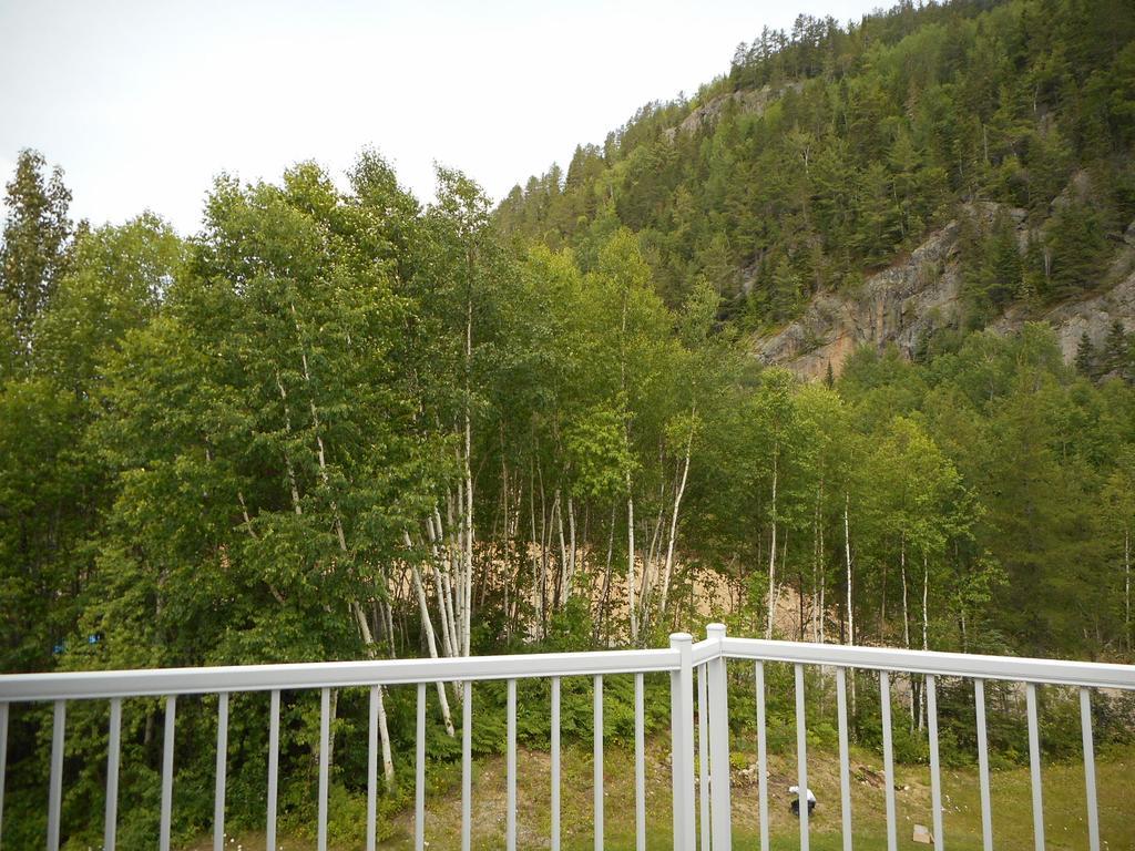 Condo Mont-Edouard LʼAnse-Saint-Jean Dış mekan fotoğraf